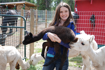 babyalpaca
