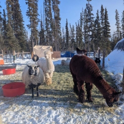 HappyLittleHobbyFarm unnamed